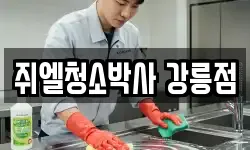 쥐엘청소박사 강릉점