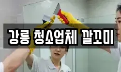 강릉 청소업체 깔꼬미