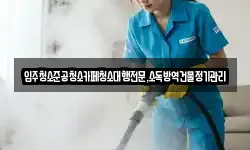 입주청소준공청소카페청소대행전문,소독방역건물정기관리