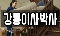 강릉이사박사