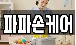 파파손케어