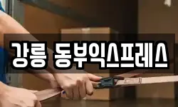 강릉 동부익스프레스