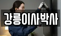 강릉이사박사