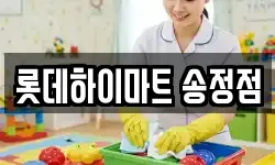 롯데하이마트 송정점