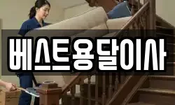 베스트용달이사