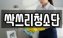 싹쓰리청소단