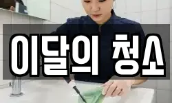 이달의 청소
