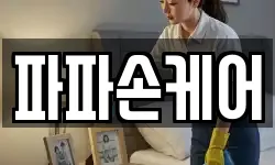 파파손케어