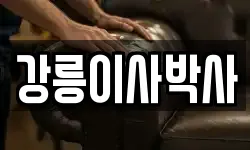 강릉이사박사