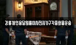 강릉개인용달원룸이사전자가구각종화물운송