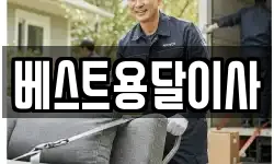 베스트용달이사