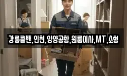 강릉콜밴,인천,양양공항,원룸이사,MT,소형