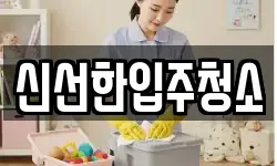 신선한입주청소