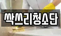 싹쓰리청소단