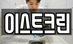 이스트크린