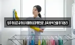 입주청소준공청소카페청소대행전문,소독방역건물정기관리