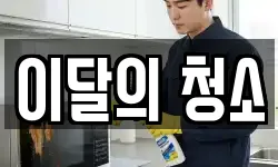 이달의 청소