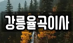 강원 강릉시 입암동 이사,용달이사,포장이사,원룸이사,보관이사