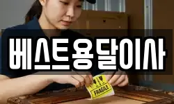 베스트용달이사