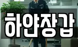 하얀장갑