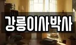 강릉이사박사
