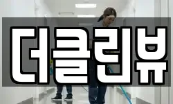 더클린뷰
