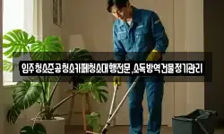 강원 강릉시 죽헌동 청소,입주청소,사무실청소,에어컨청소