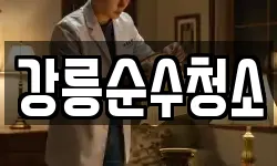 강릉순수청소