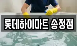 롯데하이마트 송정점