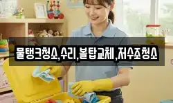 강원 강릉시 초당동 청소,입주청소,사무실청소,에어컨청소