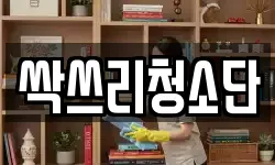 싹쓰리청소단