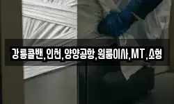 강릉콜밴,인천,양양공항,원룸이사,MT,소형