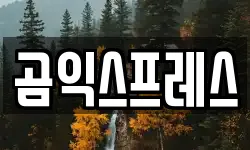 곰익스프레스