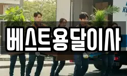 베스트용달이사