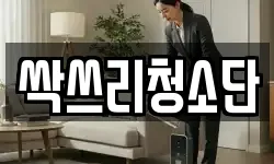 싹쓰리청소단