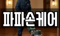 파파손케어