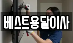베스트용달이사