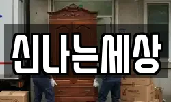 신나는세상