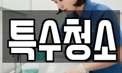 특수청소
