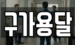 강원 강릉시 회산동 이사,용달이사,포장이사,원룸이사,보관이사