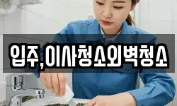 입주,이사청소외벽청소