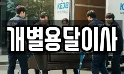 개별용달이사