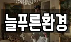 늘푸른환경