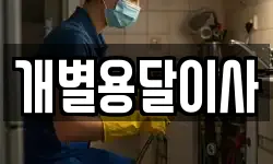 개별용달이사