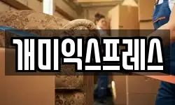 개미익스프레스