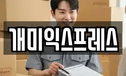 개미익스프레스
