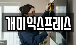 개미익스프레스