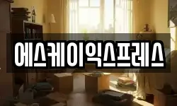 에스케이익스프레스