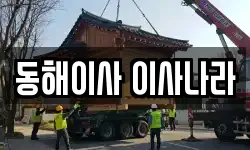 동해이사 이사나라
