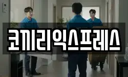 강원 동해시 발한동 이사,용달이사,포장이사,원룸이사,보관이사